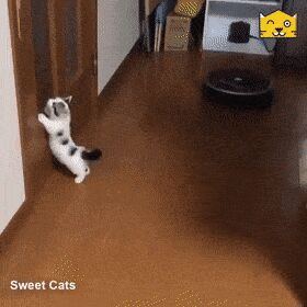   , , , 