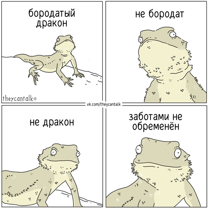   Theycantalk,  , ,  , 