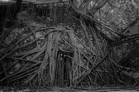 .   CreepyStory,  ,  , ,  , , Nosleep, , , 