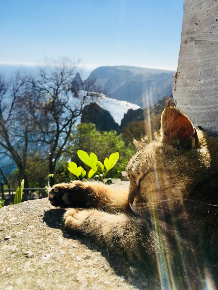 ����� �� IPhone 6S 