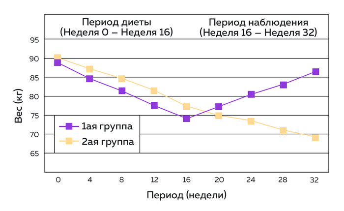 Простые, сложные, медленные, быстрые – зачем разделять углеводы и что это дает