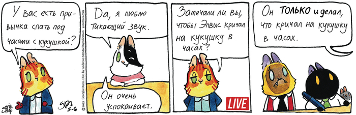 Котейкины Новости от 06.05.2025