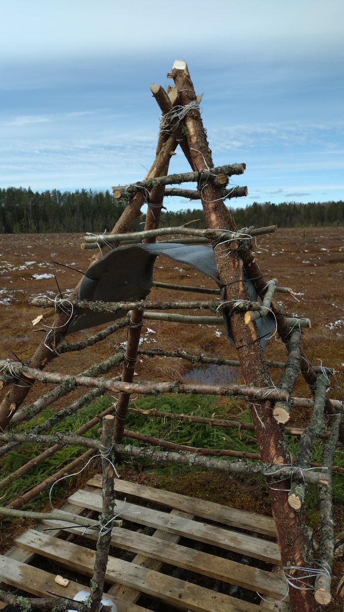 ������ �� �����