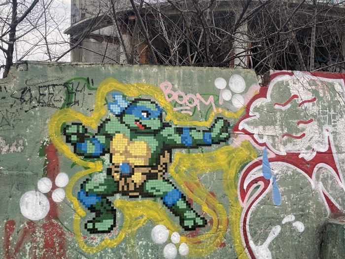     ?  ,  ,   , , -, , , , -,  tmnt