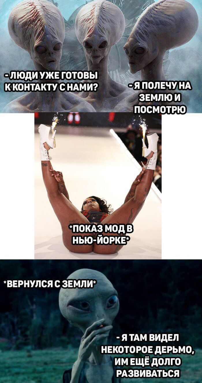 Аж мозг уменьшился у нлошек