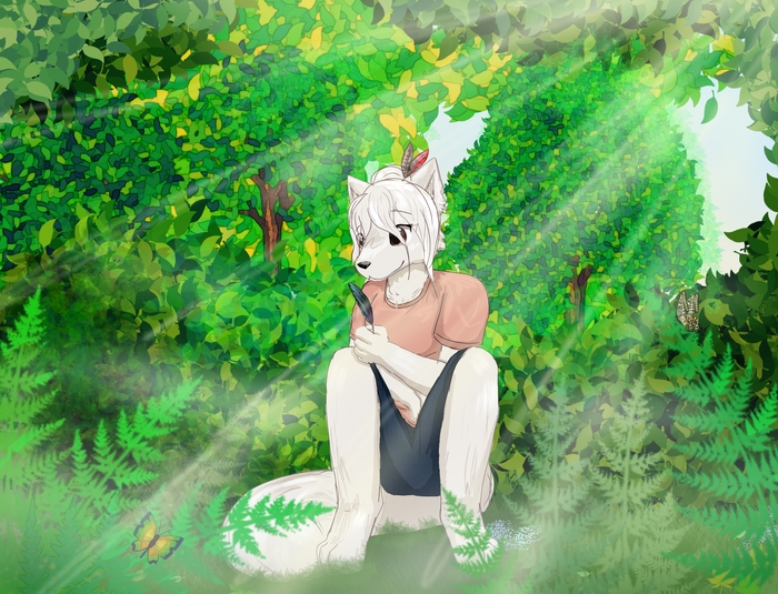   , , Furry Fox, ,   