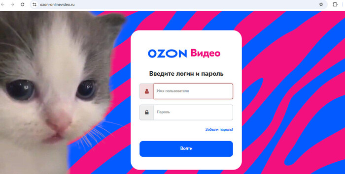 OZON ,   ,   ,  ... , OZON, , , 