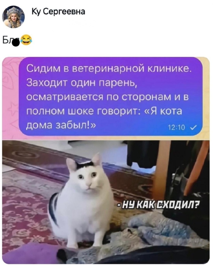  ,   -  ,   , , ,  ,  , , , , , 