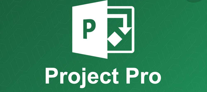  Office 2024 ProjectPro2024VL MAK ,  , , Microsoft office