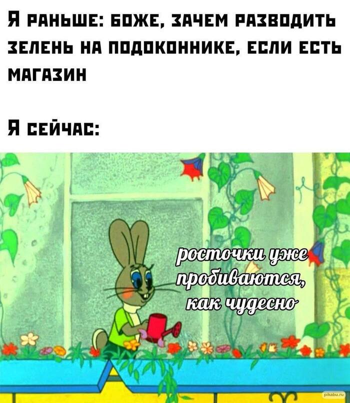    , ,    ,  !, 