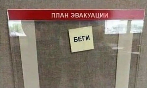 А вы что хотели?