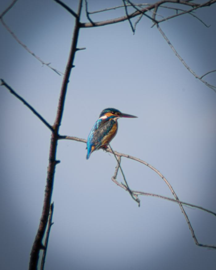 Одинокий рыбак