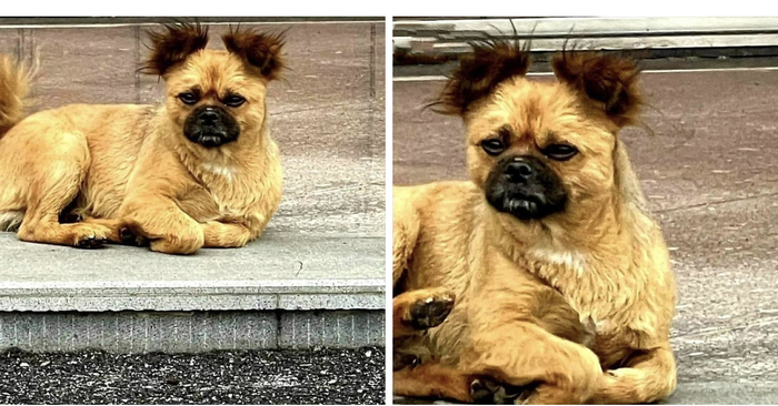 Модная прическа