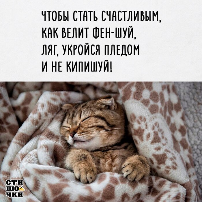 ������ ���, ����� ���