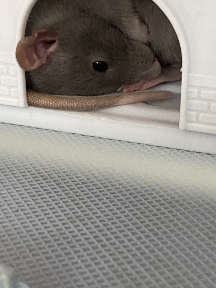 ��� �������� ������ �������� ��������