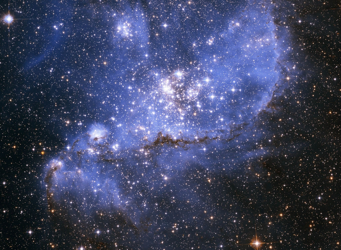 Вон они, тысячи ... миллиарды их