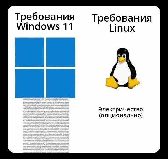  ? IT ,   , Linux  Windows,  , Telegram ()