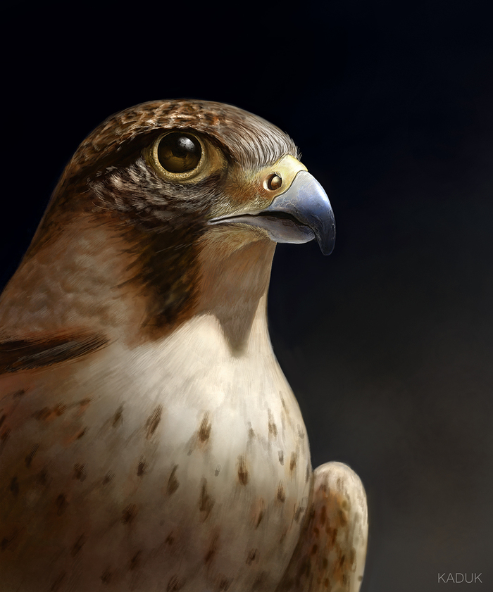  Digital, ,  , , , 2D, , , Photoshop,  