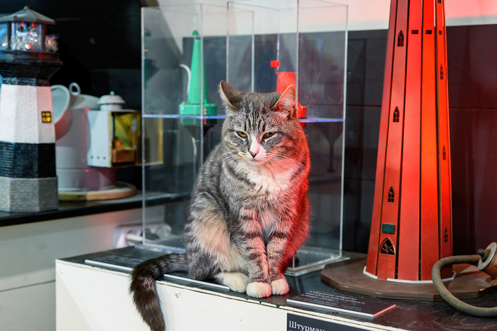 ��� �������, �������� (������ ����� ������� ������ � ����������)