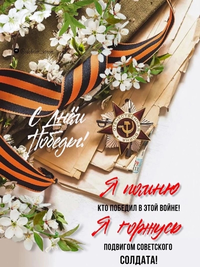    ! , , , 9  -  , 80  , , ,  ,  , 