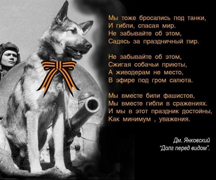      9  -  , , 