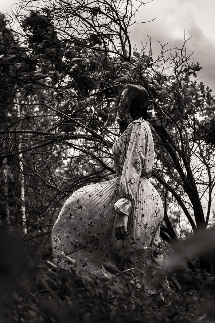 ��� - ������ �����