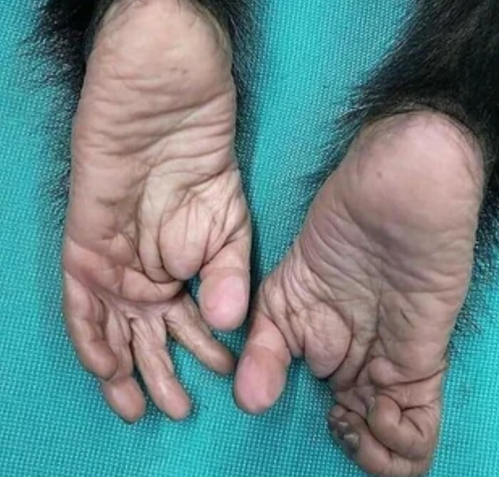     , , , 