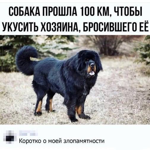    )