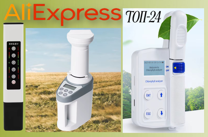 24 must-have     AliExpress     , , , AliExpress,  , ,  ,  , Telegram ()