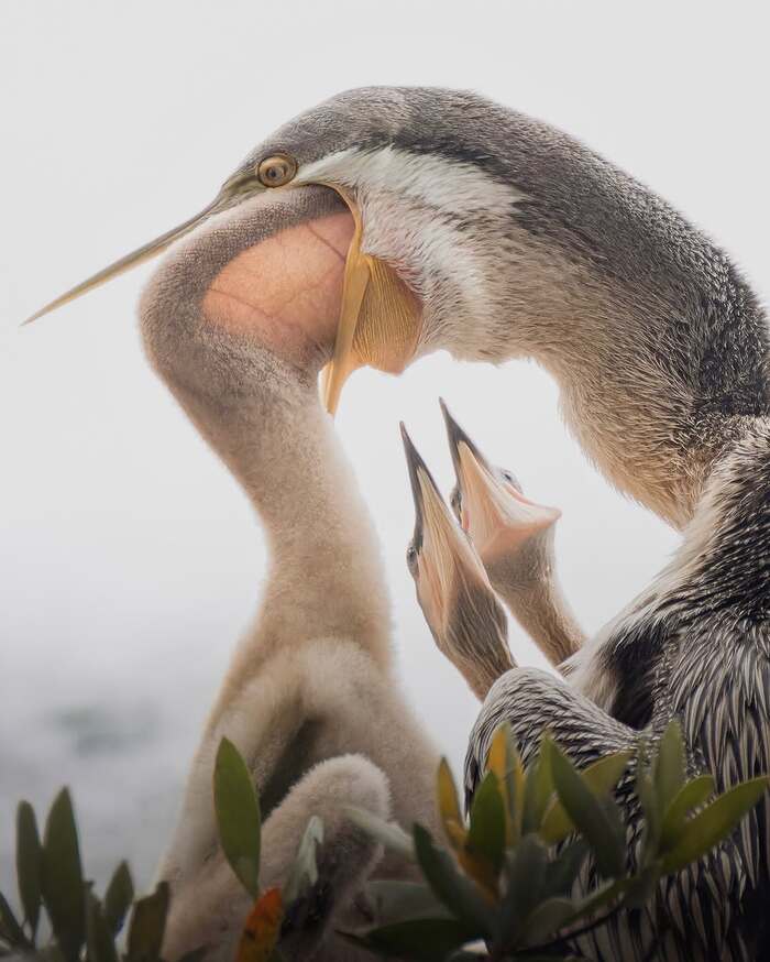   , ,  ,  , ,  , , , ,  ,  , 