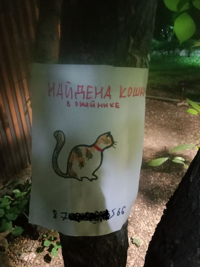  ? ,  , , , 