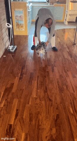   , , , 