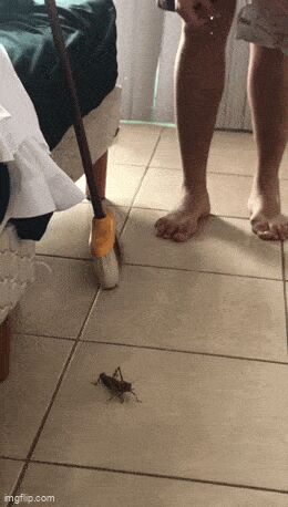    , , , 
