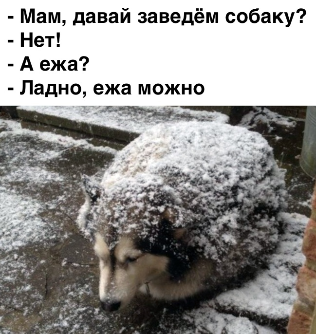    ?,    ,  , ,   , 