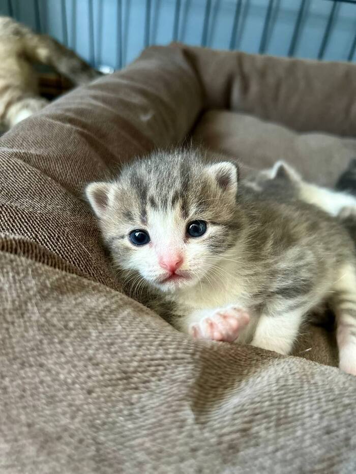      ,       .    .     ,  ,  ,   -, ,  ,  , ,   