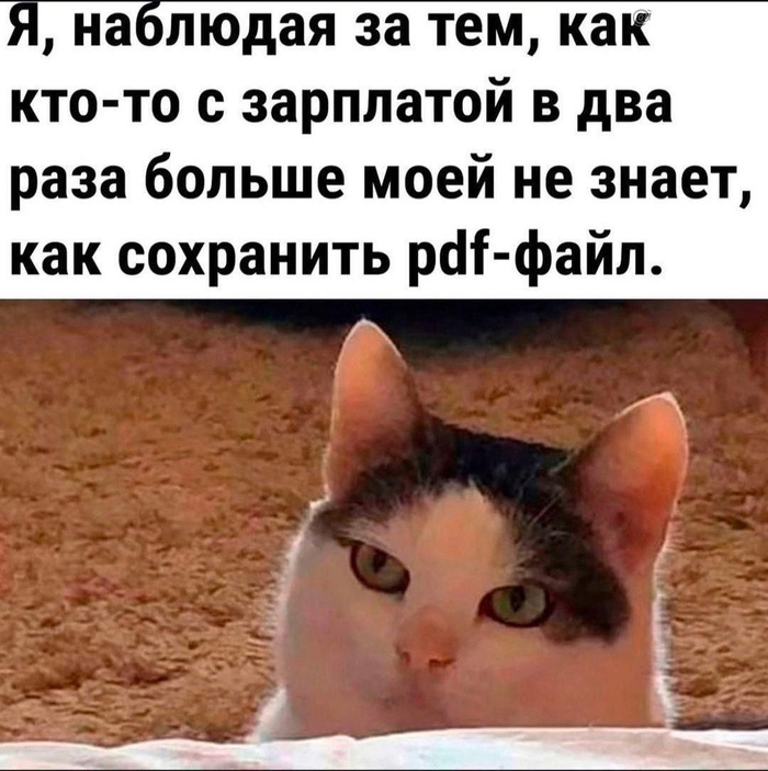    ,   , , IT , , Pdf, , Telegram ()