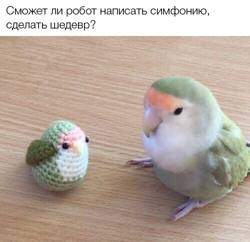 Parakeet  ,  , !