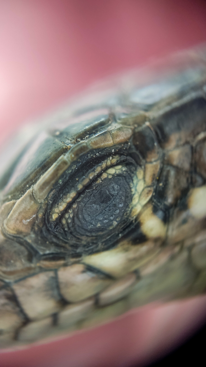 Подсветка от оптики заставляла жмуриться