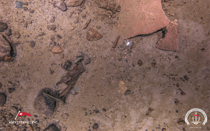 ��������� ��������� "����� �����������".