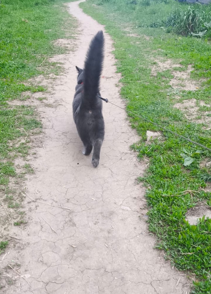 На прогулке