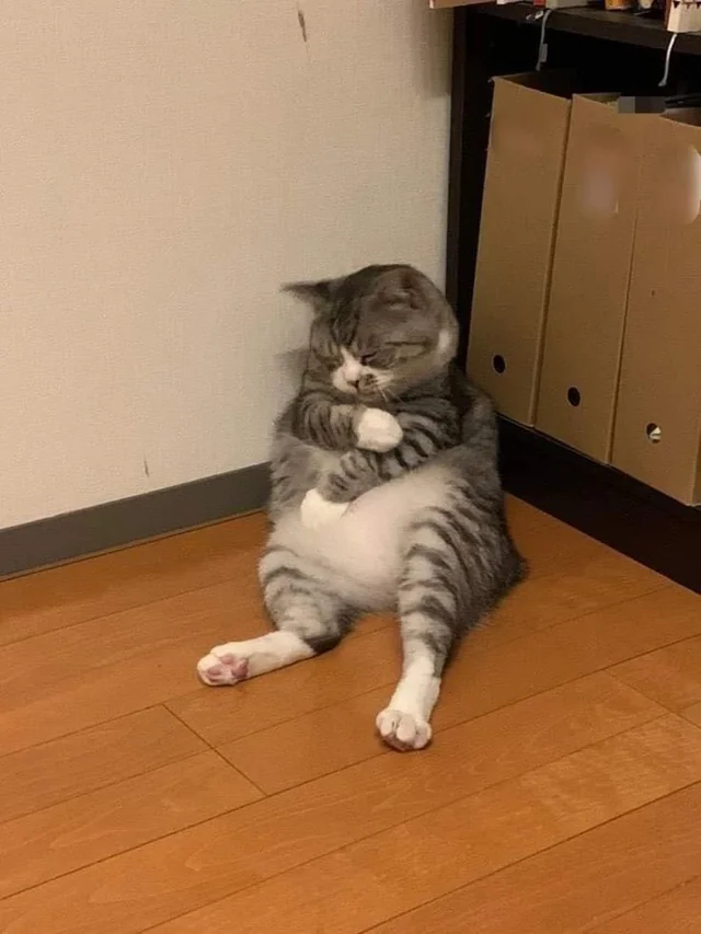 ��� �� ���������