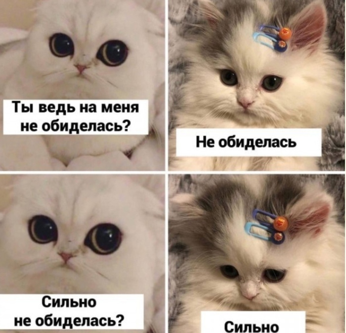 Не обиделась)