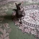 ������ ������������ Niknc