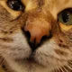 ����� ����� ������ ���� �����������