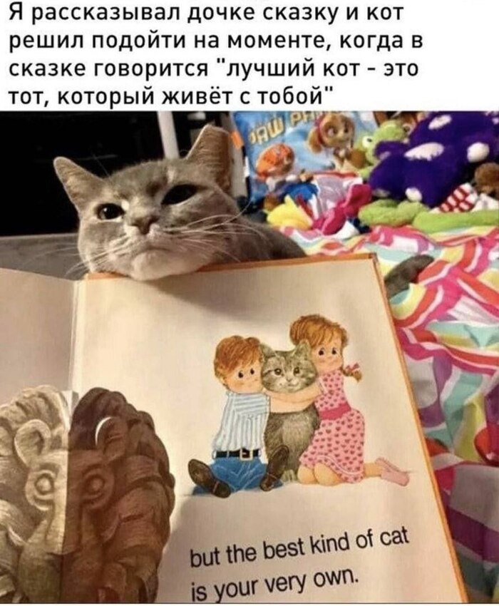 ,     ! ,   , 