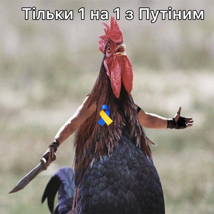      -,        , , , , , ,   ,  ,  ,  , , ,    