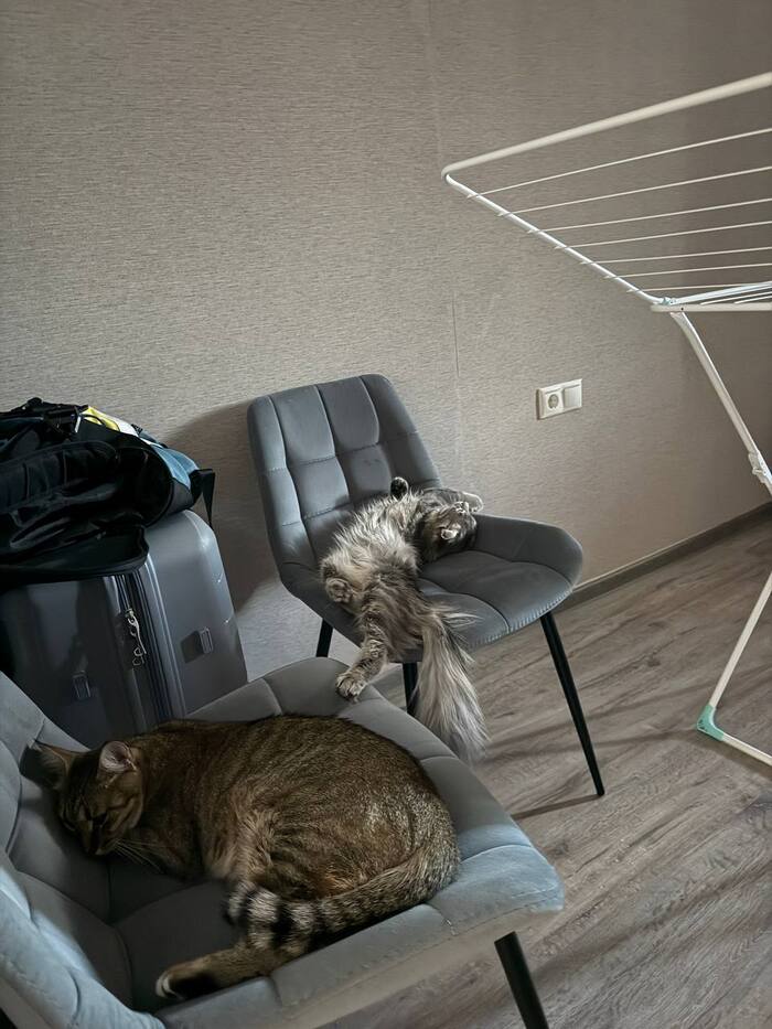 ���� � ��� ������������� ������ �����