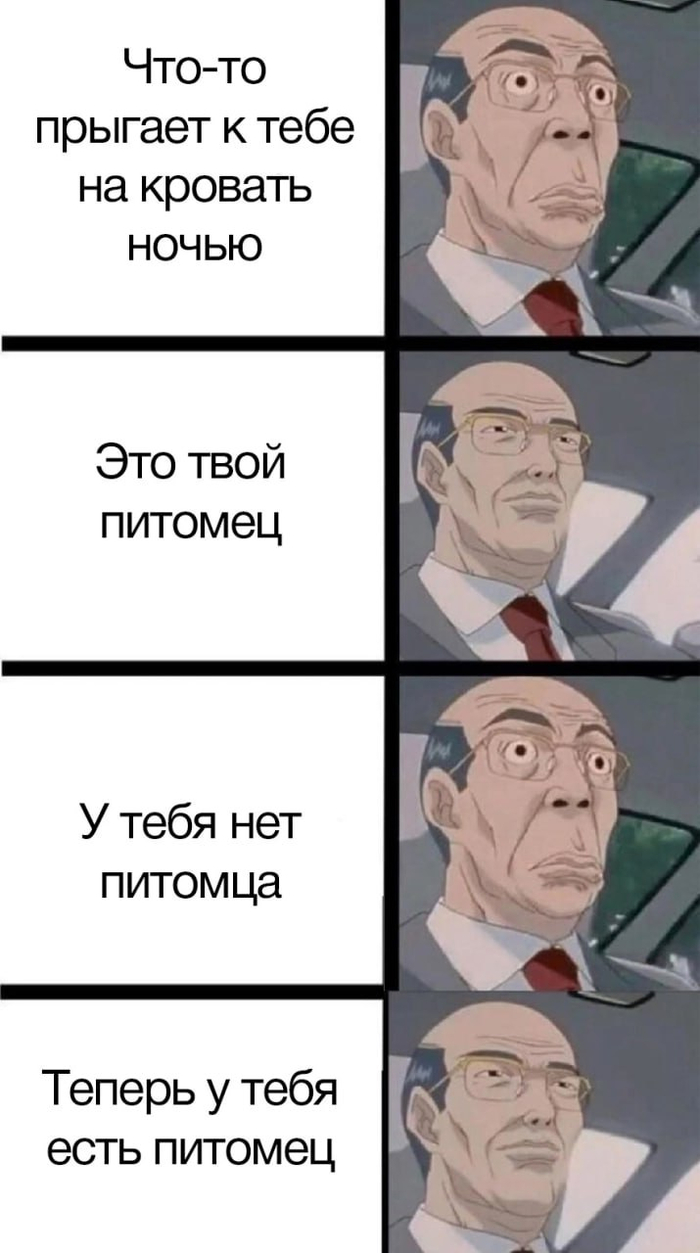  ,  ,   ,   