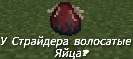     ... , Minecraft