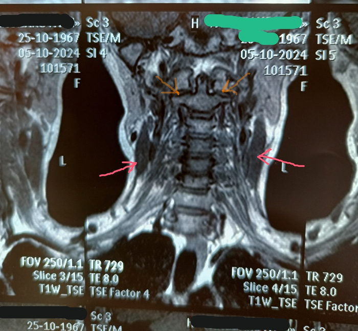       "",   .          "",  ,  ,       ,  .